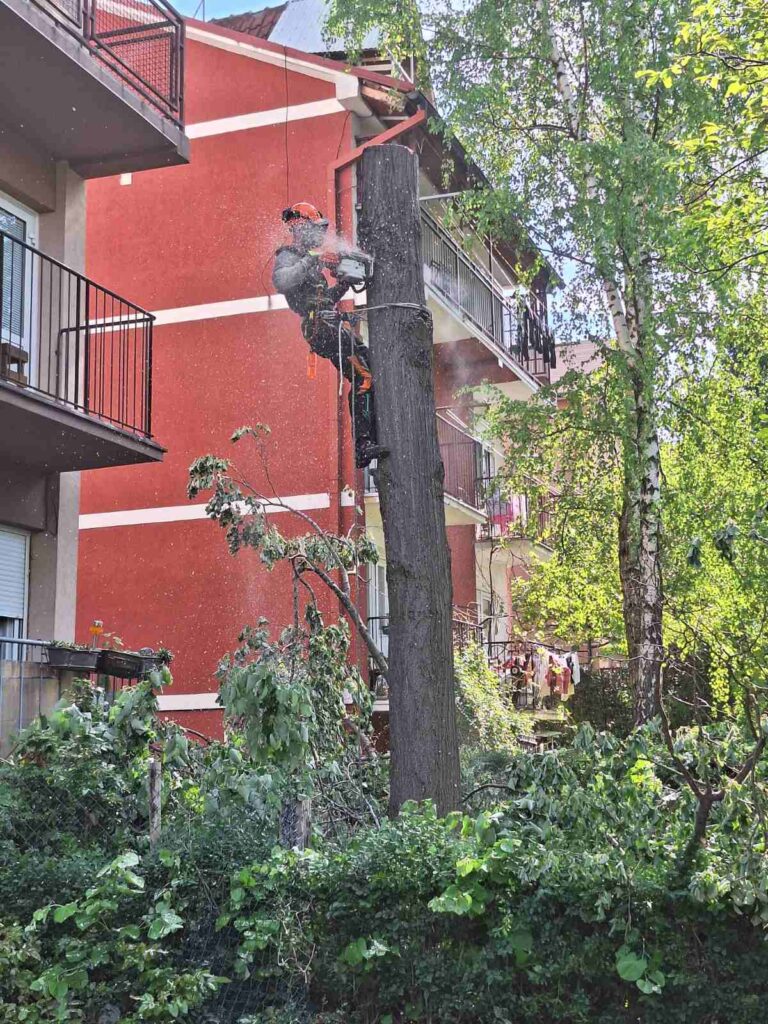 Sečenje i uklanjanje u delovima