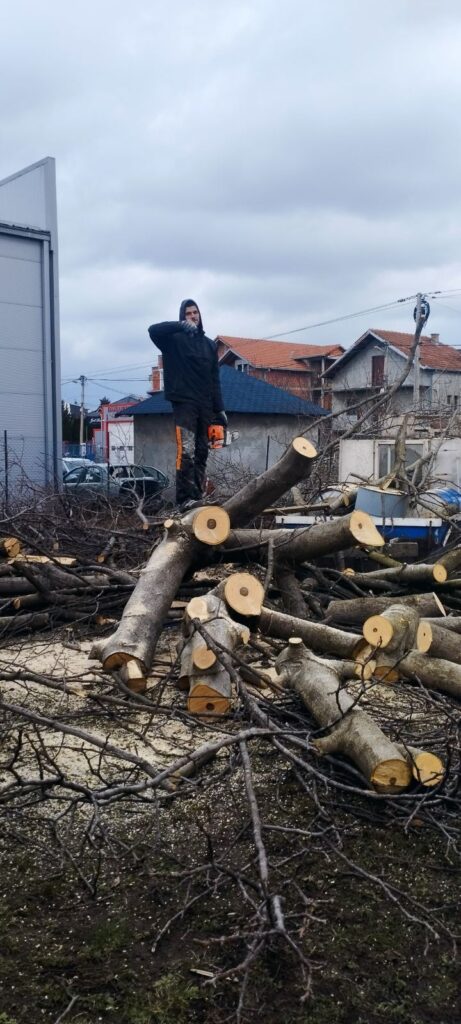 Čišćenje i raščišćavanje terena